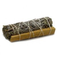PALOSANTO-02