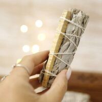 PALOSANTO-03