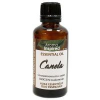 CANELA-01