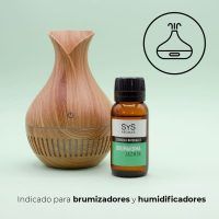 BRUMA-JAZMIN-03