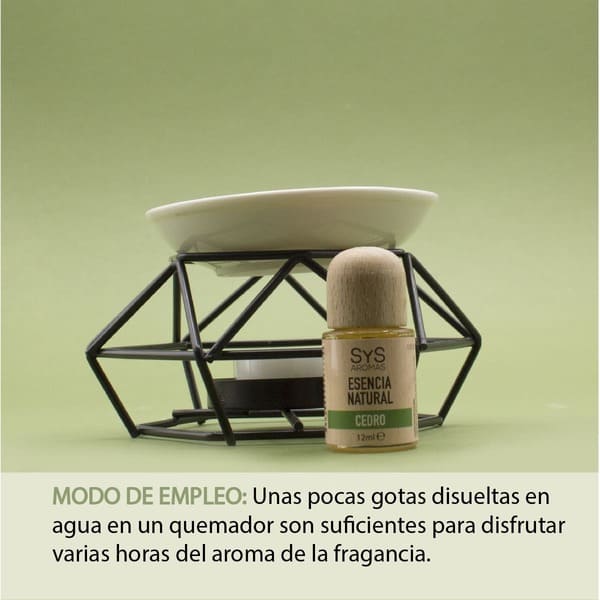 CEDRO-03