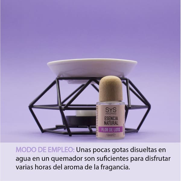 FLORLOTO-03
