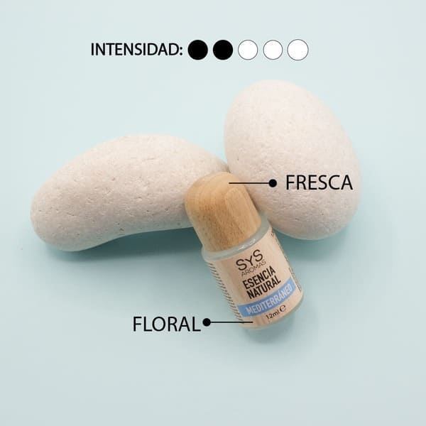 MEDITERRANEO-02