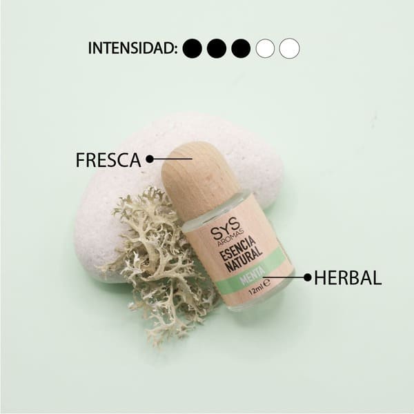 MENTA-02