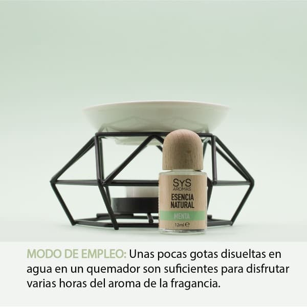 MENTA-03