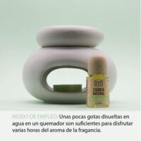 RAIZ-03