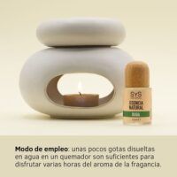 RUDA-03