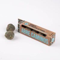ABRECAMINOS-01