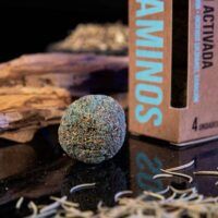 ABRECAMINOS-02
