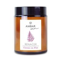 AMBAR-04