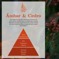 AMBAR-06