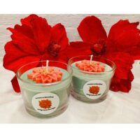 POINSETTIA-01