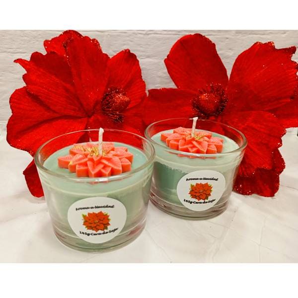 POINSETTIA-01
