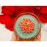 POINSETTIA-02