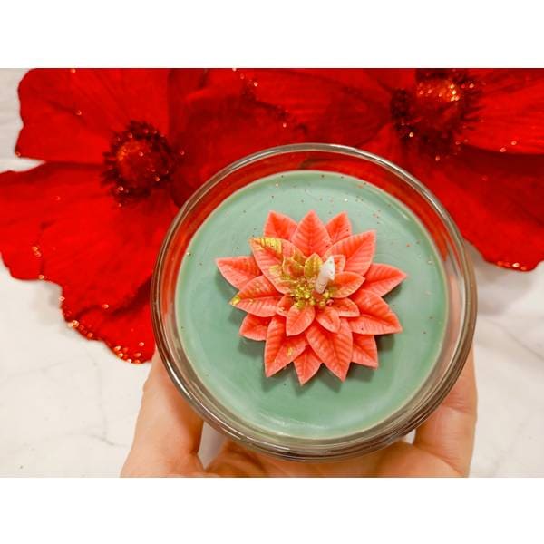 POINSETTIA-02