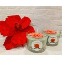POINSETTIA-03