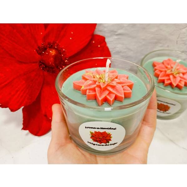 POINSETTIA-04