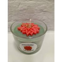 POINSETTIA-05