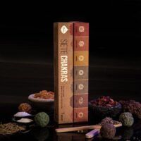 7CHAKRAS-02