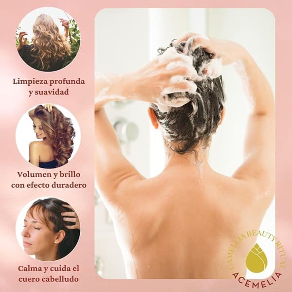 CAMELIA-08