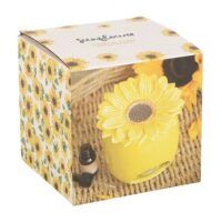 GIRASOL-03 - copia