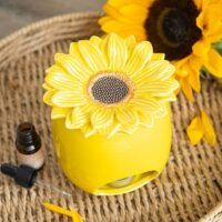 GIRASOL-04