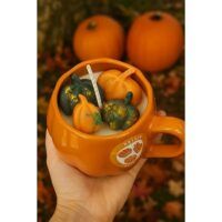 CALABAZAESPECIADA-TAZA-03