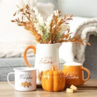 CALABAZAP-07