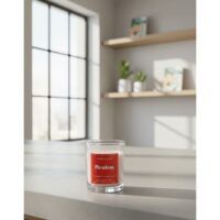 PIRULETA-05