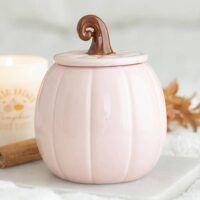 CALABAZAROSA-01