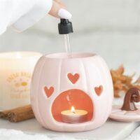 CALABAZAROSA-02
