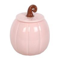 CALABAZAROSA-03