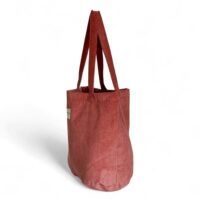 CORAL-BG-02
